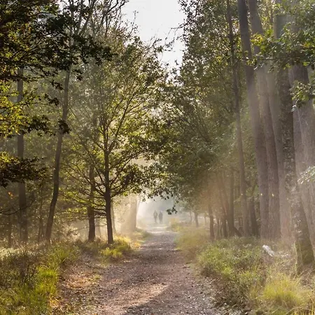 Cozy Chalet 2-4 Pers I Forest I Veluwe Chalé Ede