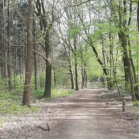 Cozy Chalet 2-4 Pers I Forest I Veluwe
