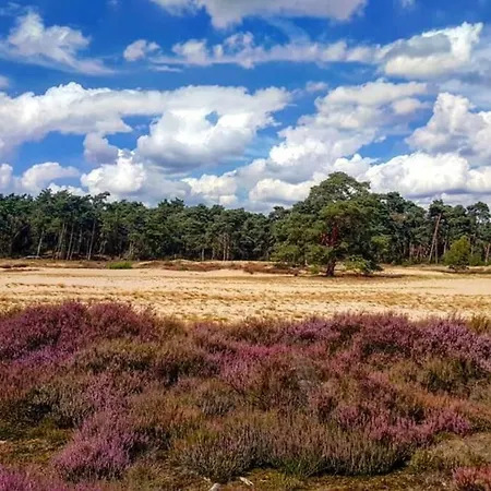Cozy Chalet 2-4 Pers I Forest I Veluwe